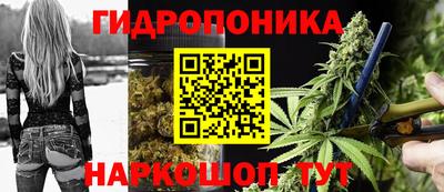 spice Славгород
