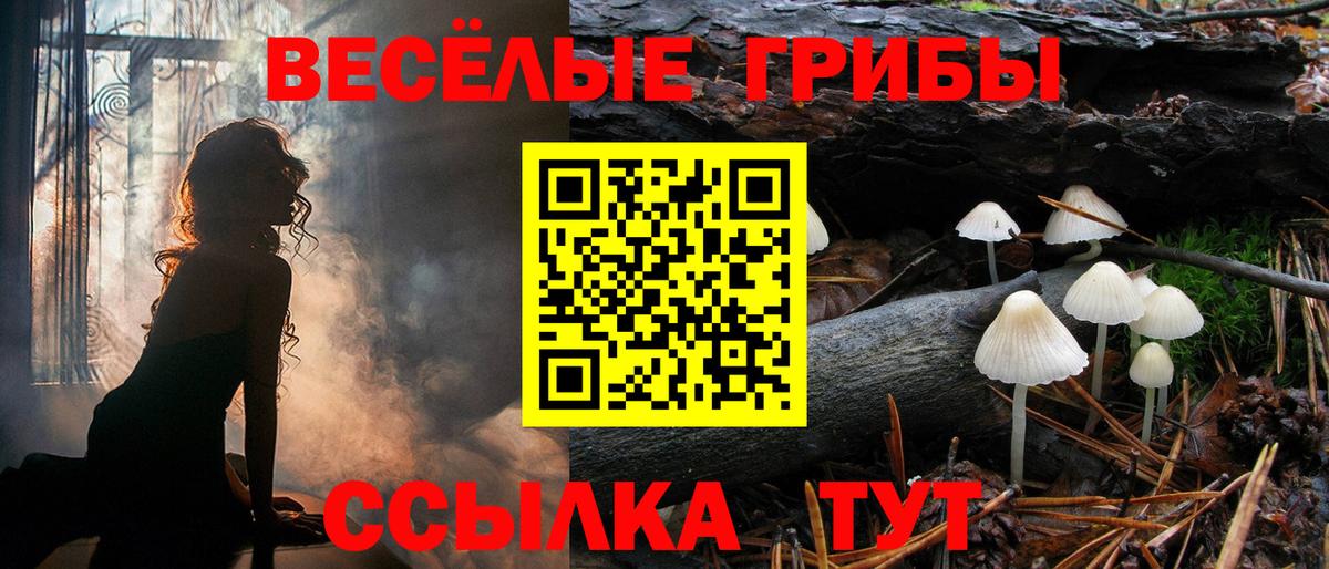 Псков  Галлюциногенные грибы мицелий  Вход с VPN 